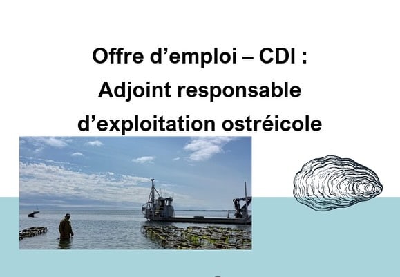 Ty Huitres recrute 1 1109872047994986 - Accueil
